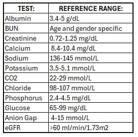 Kidney